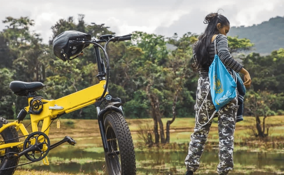 Explore the Jungles of Gir on E-Bikes Image