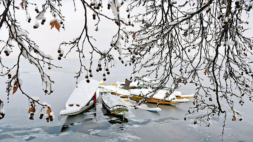 Winter Kashmir Offbeat Expedition Image