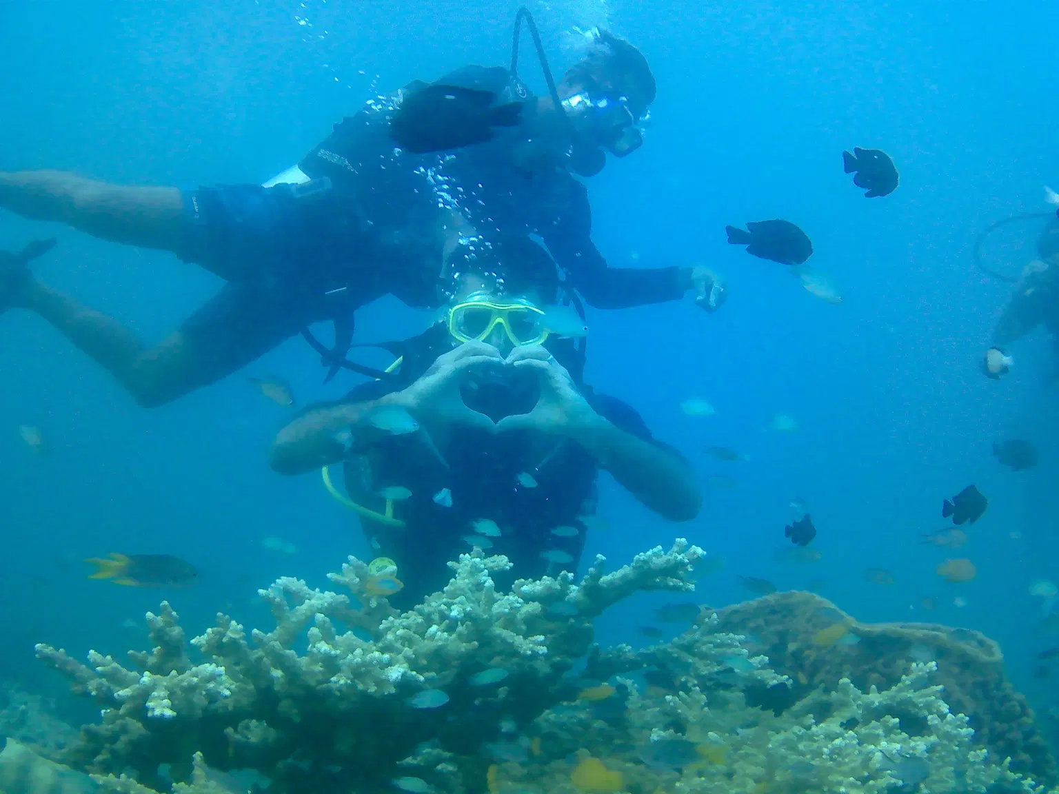 Photo from Harshil Padia's trip