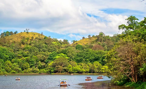 Activity & SightSeeing Image