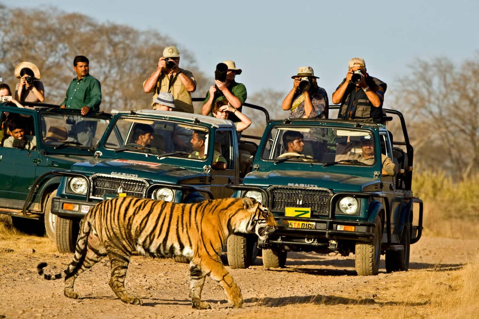 Jim Corbett Jungle Safari