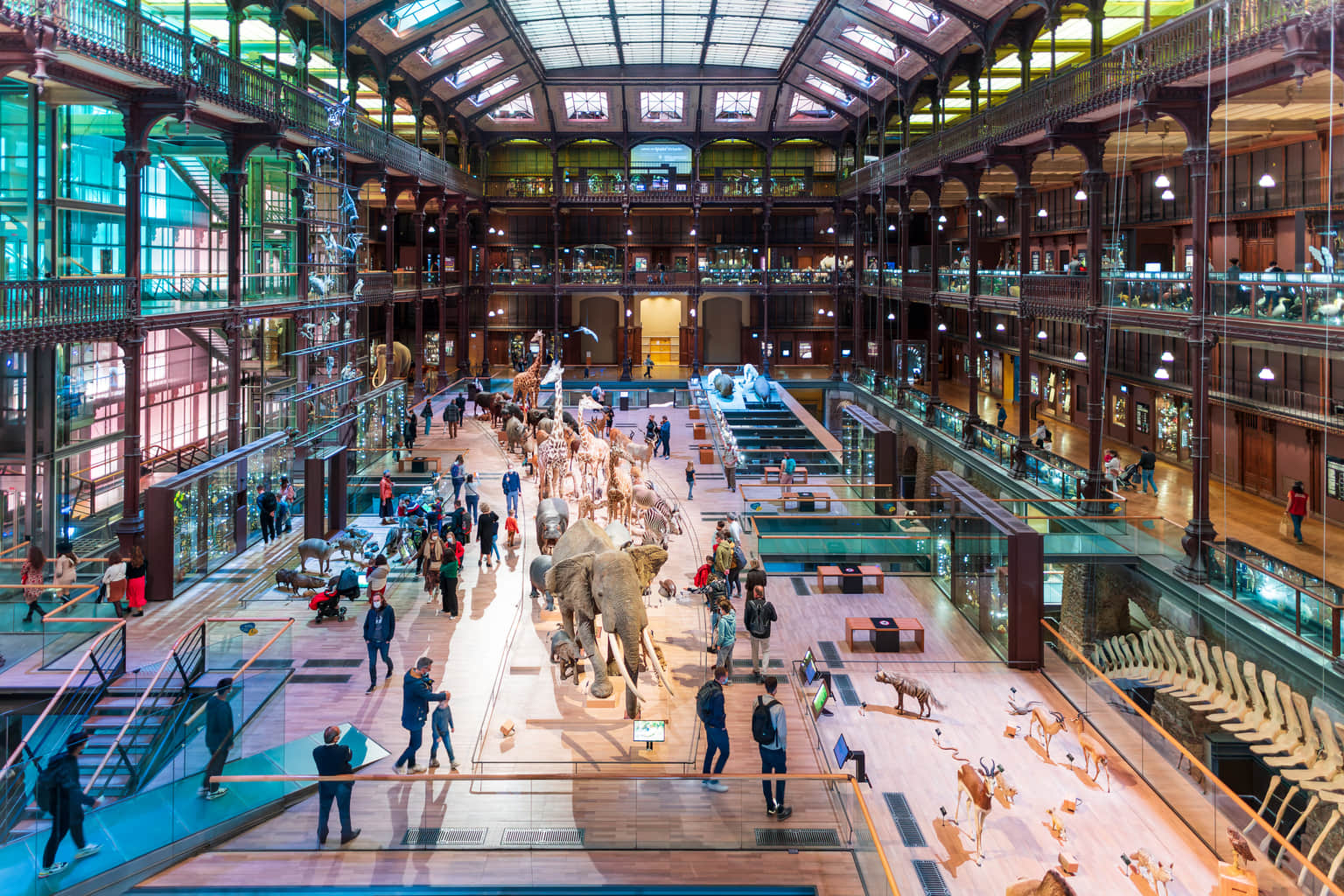 The Grande Galerie de l’Évolution