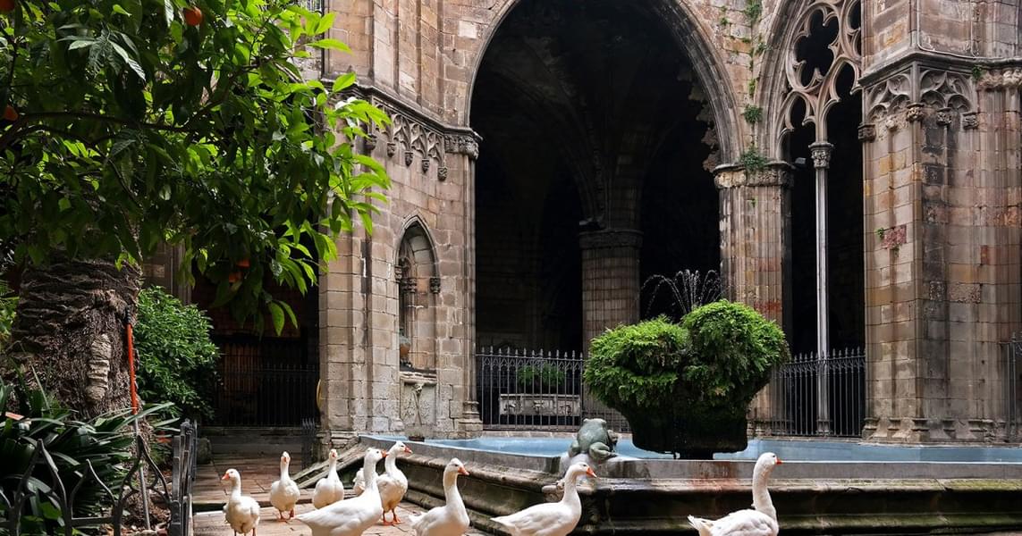 See the beautiful Well of the Geese in the cloister