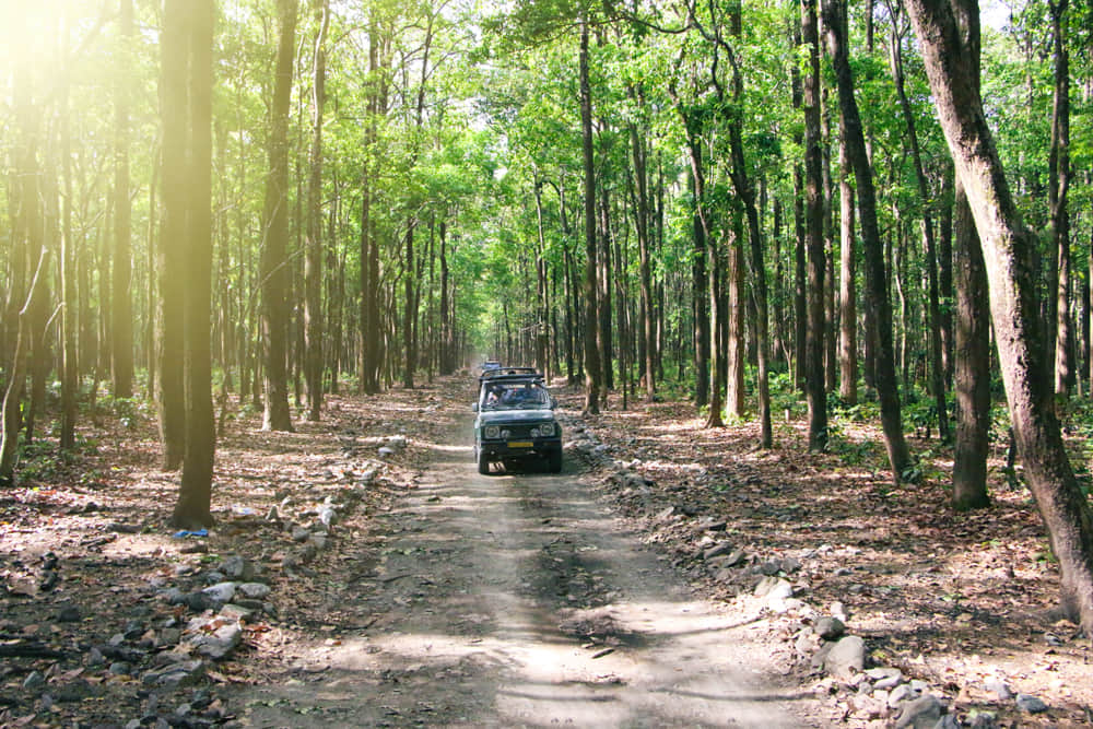 Jeep Safari to Hebbe Falls: