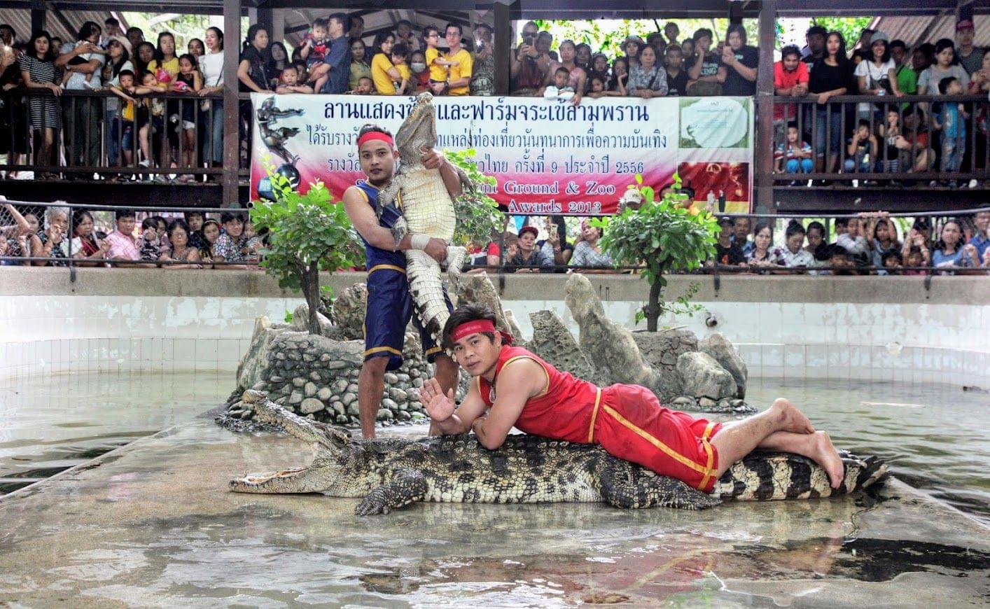 Crocodile Wrestling