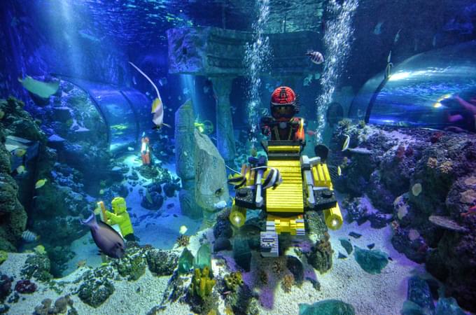 Legoland Sea Life Aquarium Shows.jpg