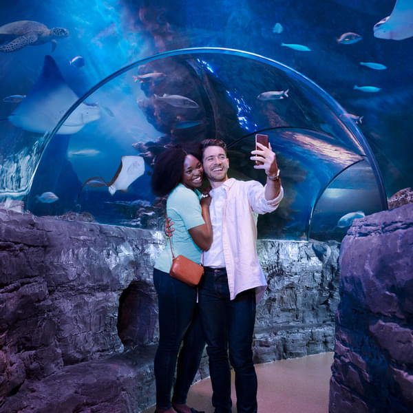 Click amazing selfies in underwater tunnel with your loved ones
