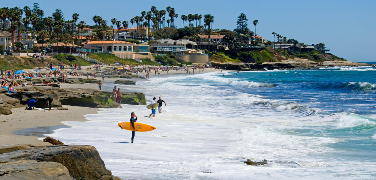 Surfing Lesson in La Jolla Image