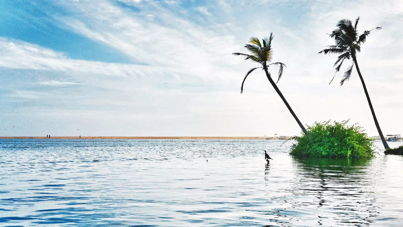 Poovar Beach, <em>Thiruvananthapuram</em>