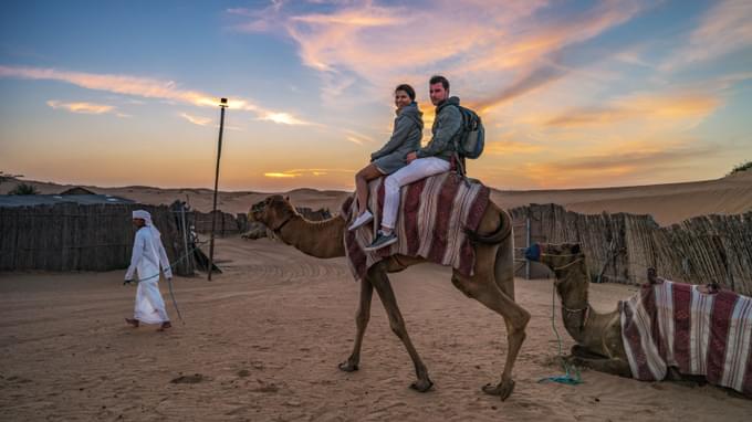 camel riding in uae