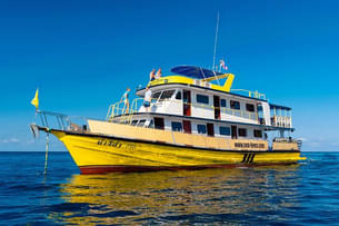 80fhrbqs7y0vs19xxgnhce7ap9tp 1597750660 marco polo 2w857h570crwidth857crheight570