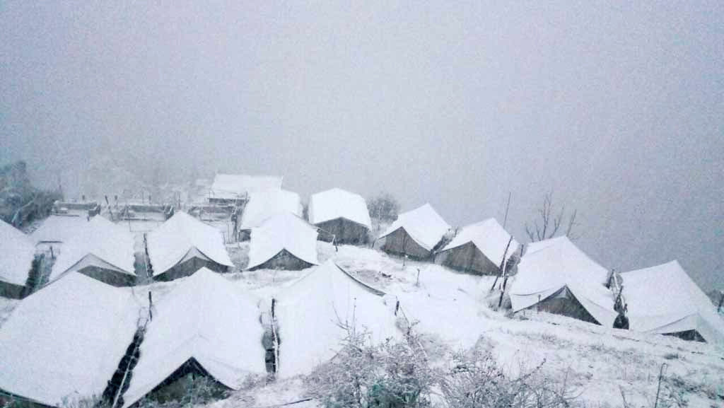 Camping in Dhanolti near Mussoorie #5