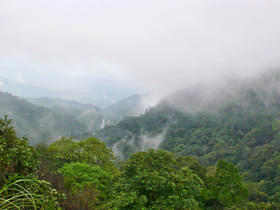 80jbcnyp2f8y5whe3l3ztkbrwruc 1552978851 malom