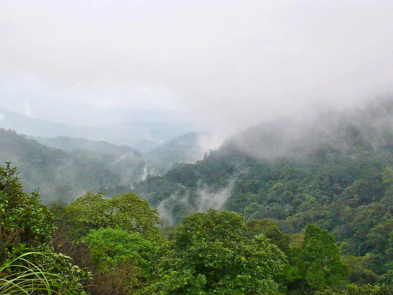 Malom Wildlife Sanctuary, <em>Kasaragod</em>