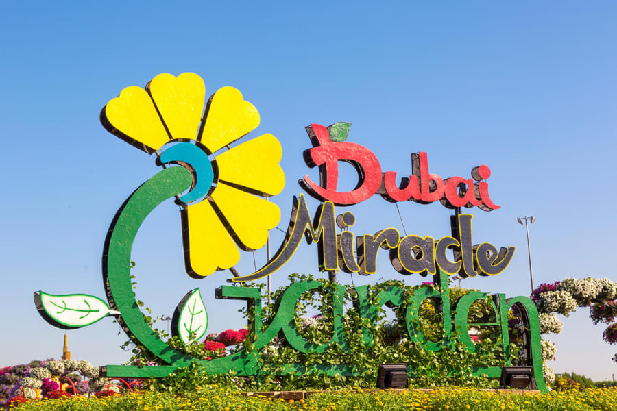Visit the magnificent Dubai Miracle Garden