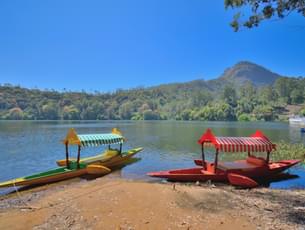 Full Day Tour In Munnar