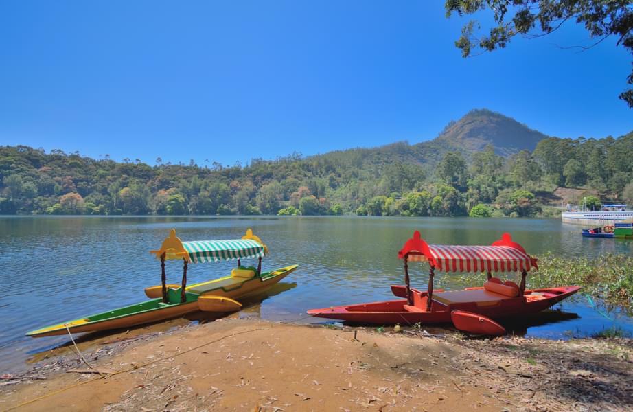 Full Day Tour In Munnar Image