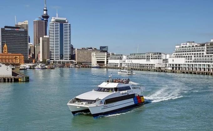 Auckland Harbour Cruise