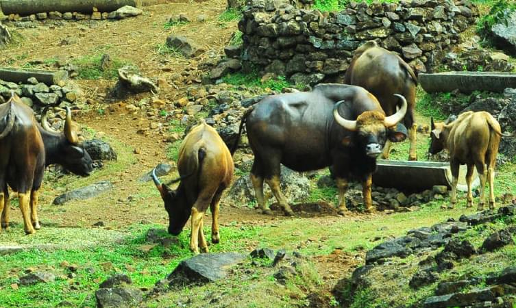 Cotigao Wildlife Sanctuary