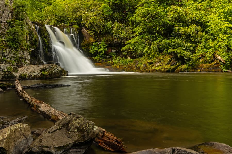 Great Smoky Mountains National Park Self Driving Tour Image