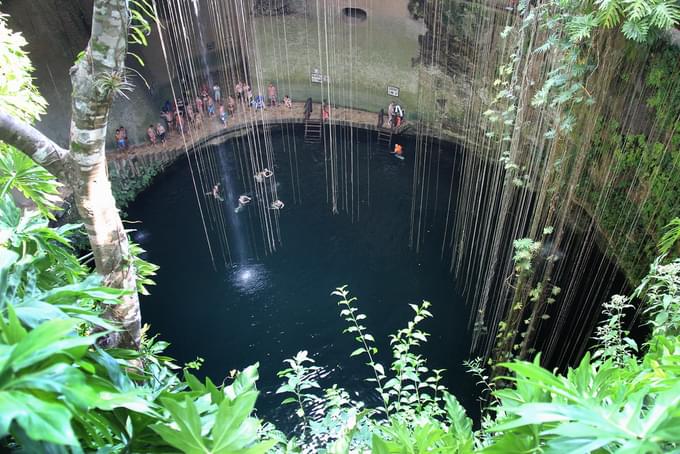 Sacred Cenote