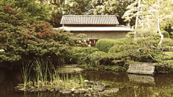 82ti0cy1rqlqyibrf6ih9utczjy3 15849220641 a5a96af87c o