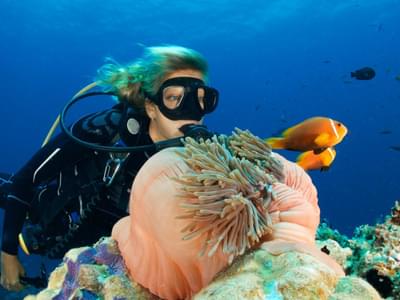 Get well equipped scuba diving experience in Dubai and witness unique aquatic life