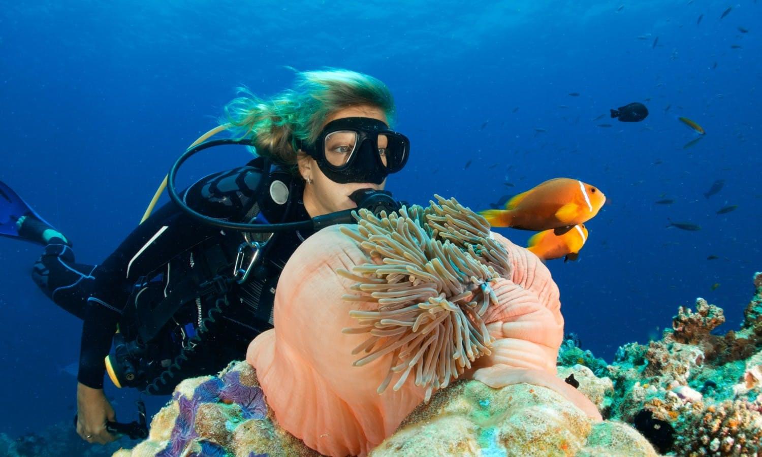 Get well equipped scuba diving experience in Dubai and witness unique aquatic life