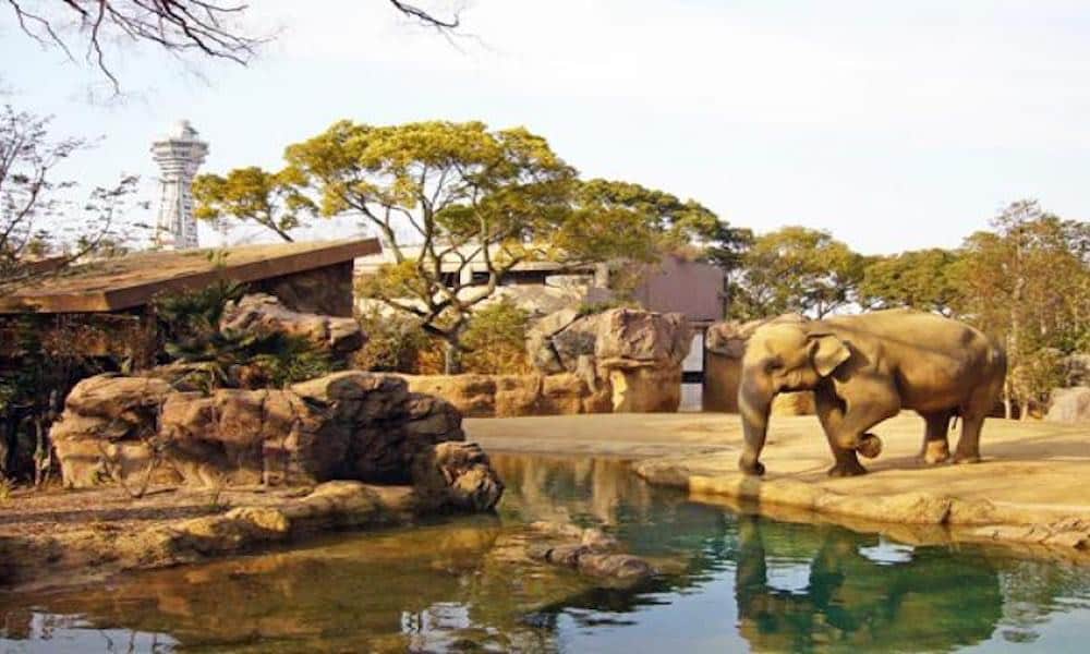 Tennoji Zoo