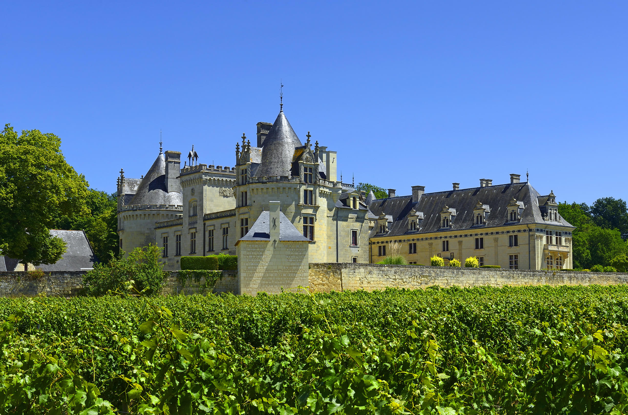 Chateau de Breze