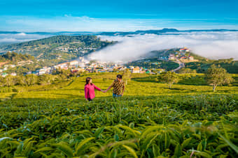 Couple posing for a photo at tea estates in Munnar