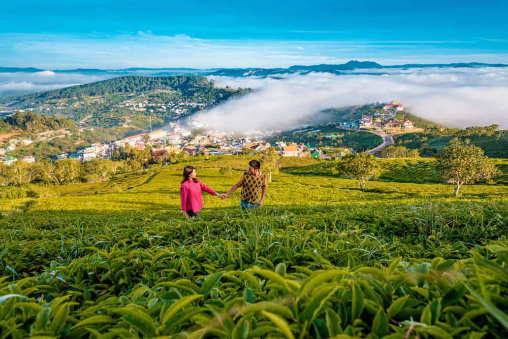 Romantic Getaway to Kerala | From Munnar Peaks to Backwater Peace