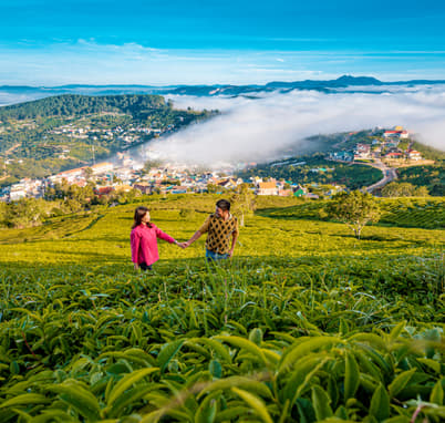 Couple posing for a photo at tea estates in Munnar