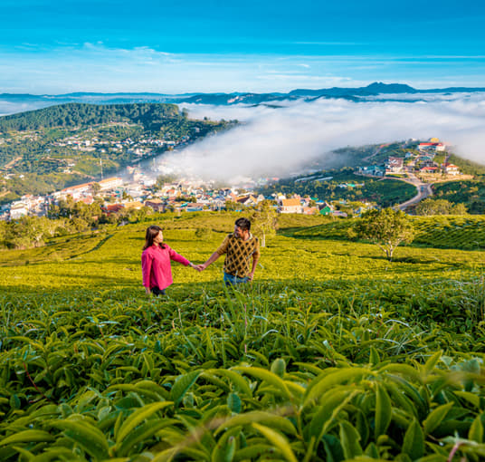 Couple posing for a photo at tea estates in Munnar