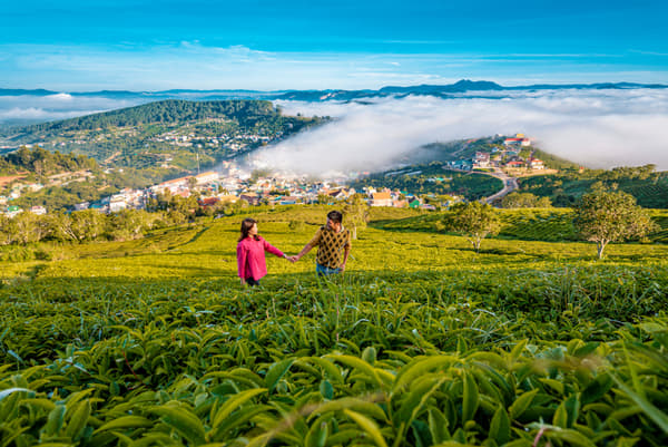 Couple posing for a photo at tea estates in Munnar