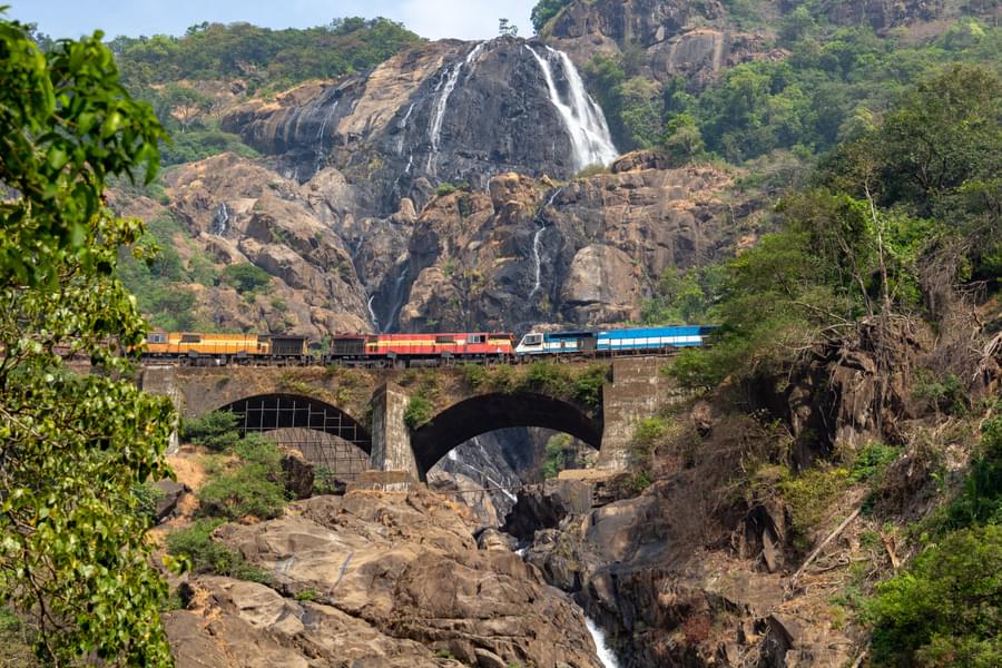 Dudhsagar Falls And Spice Plantation Tour Image