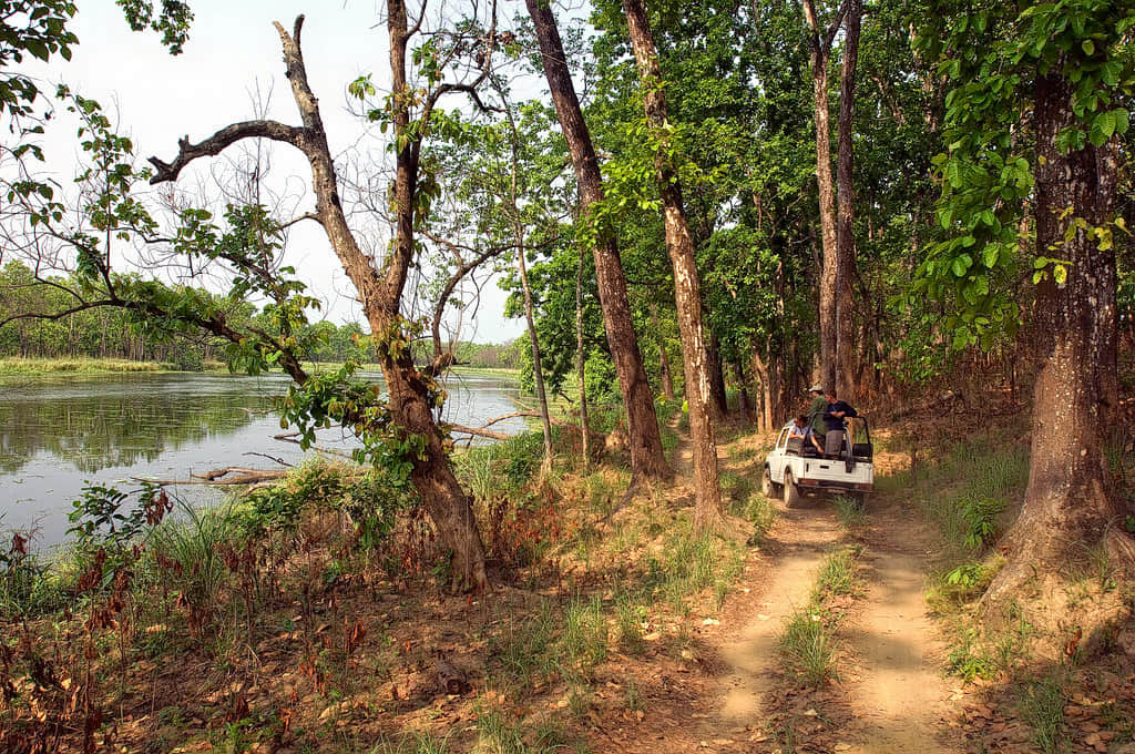 Parsa Wildlife Reserve
