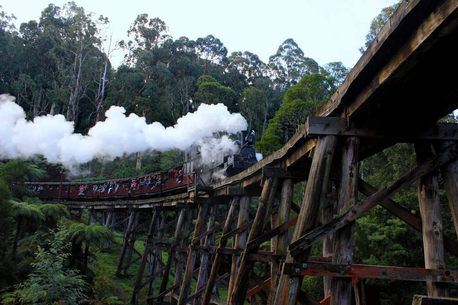 Puffing Billy Steam Train And Yarra Valley Wine Country Tour