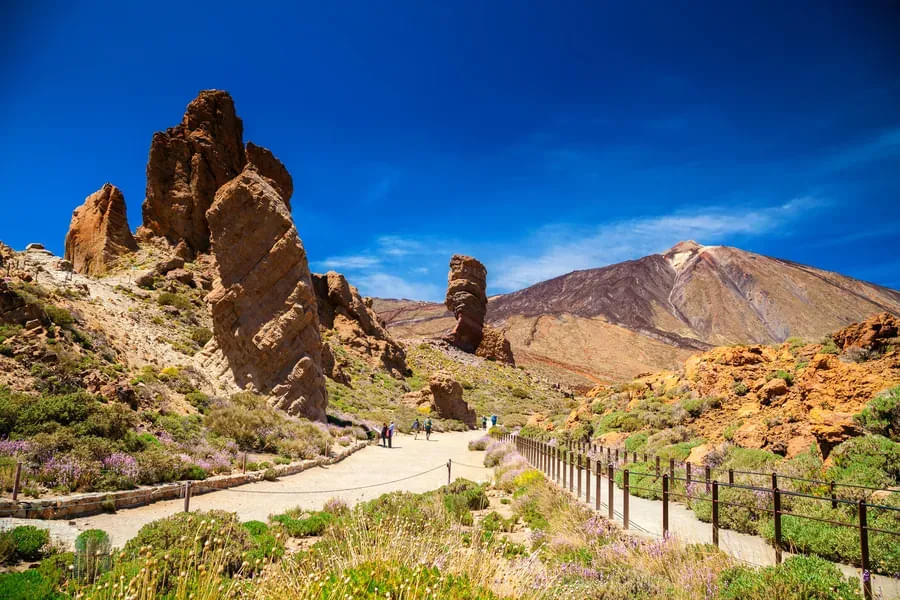 Teide Volcano Tours