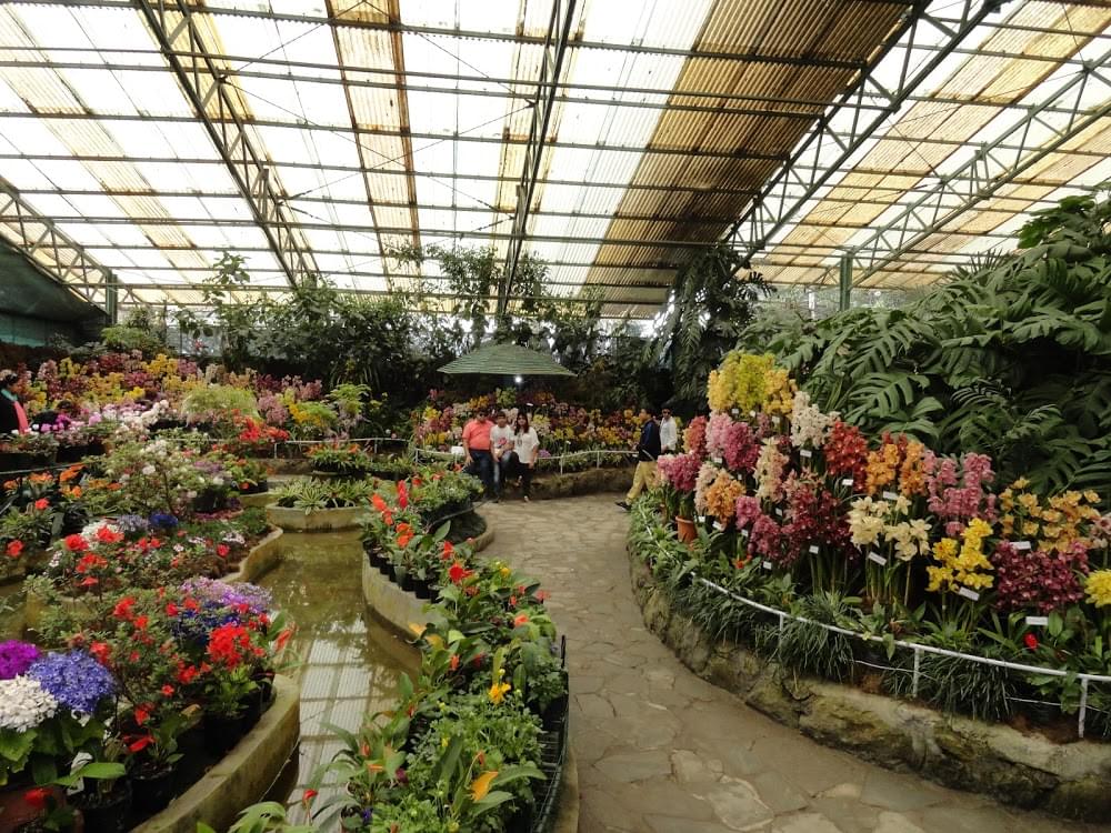Flower Exhibition Centre Overview