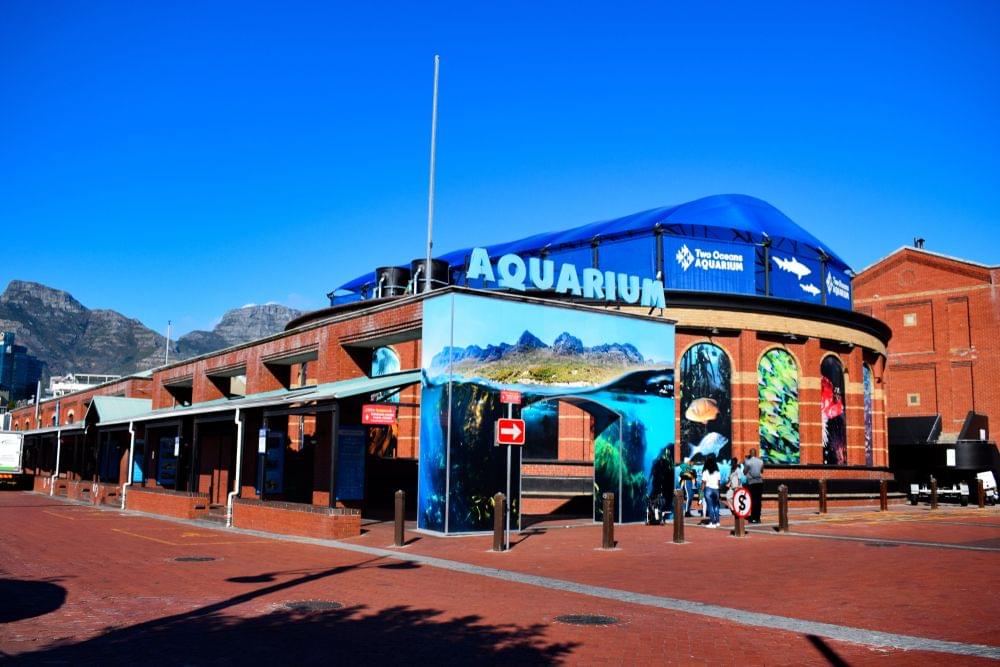 Two Oceans Aquarium Tickets