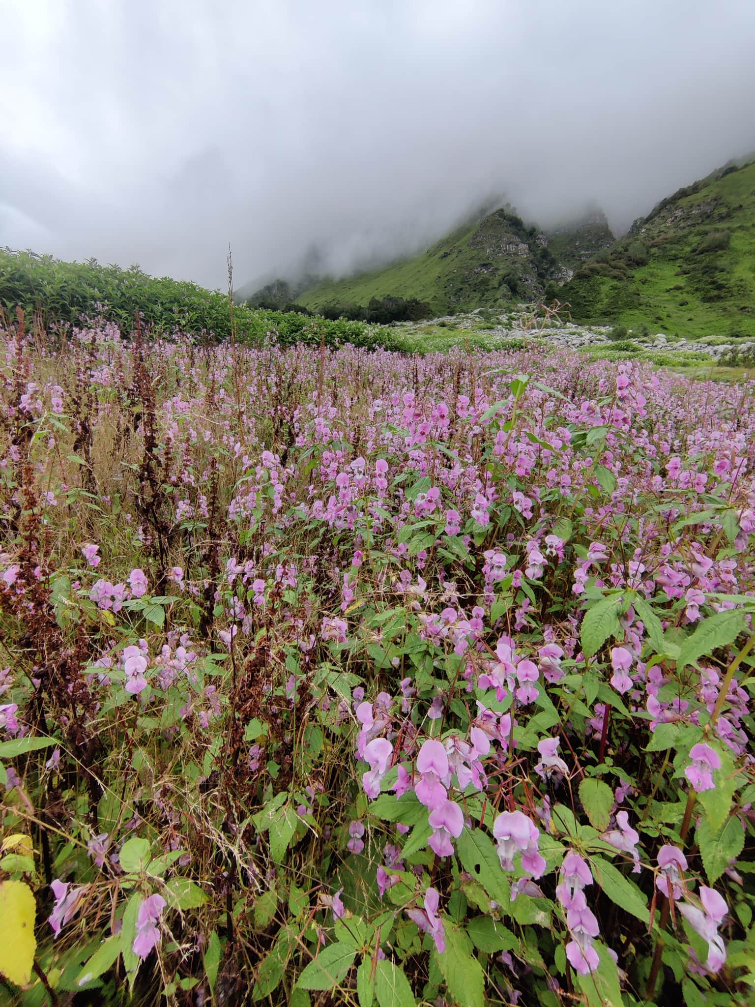Photo from  Avanti  Avanti's trip