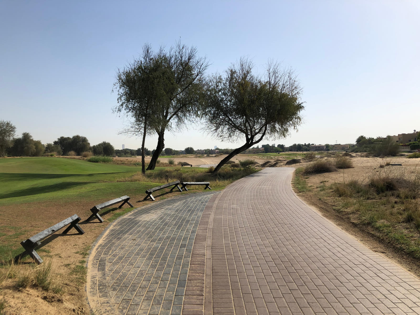 Play Golf at Arabian Ranches Golf Club