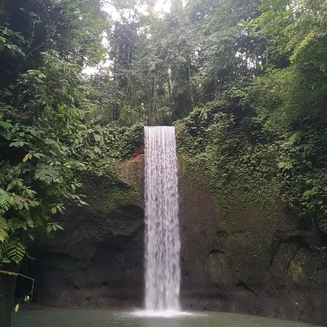 Photo from EKLAVYA  NEOGI's trip