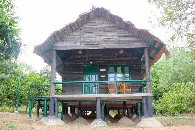 Log hut