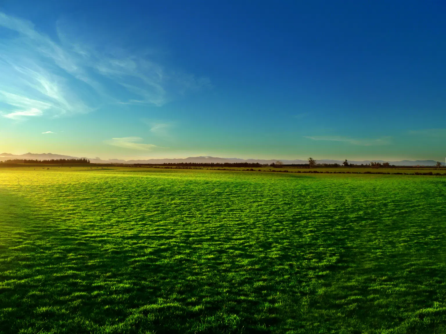 Canterbury Plains