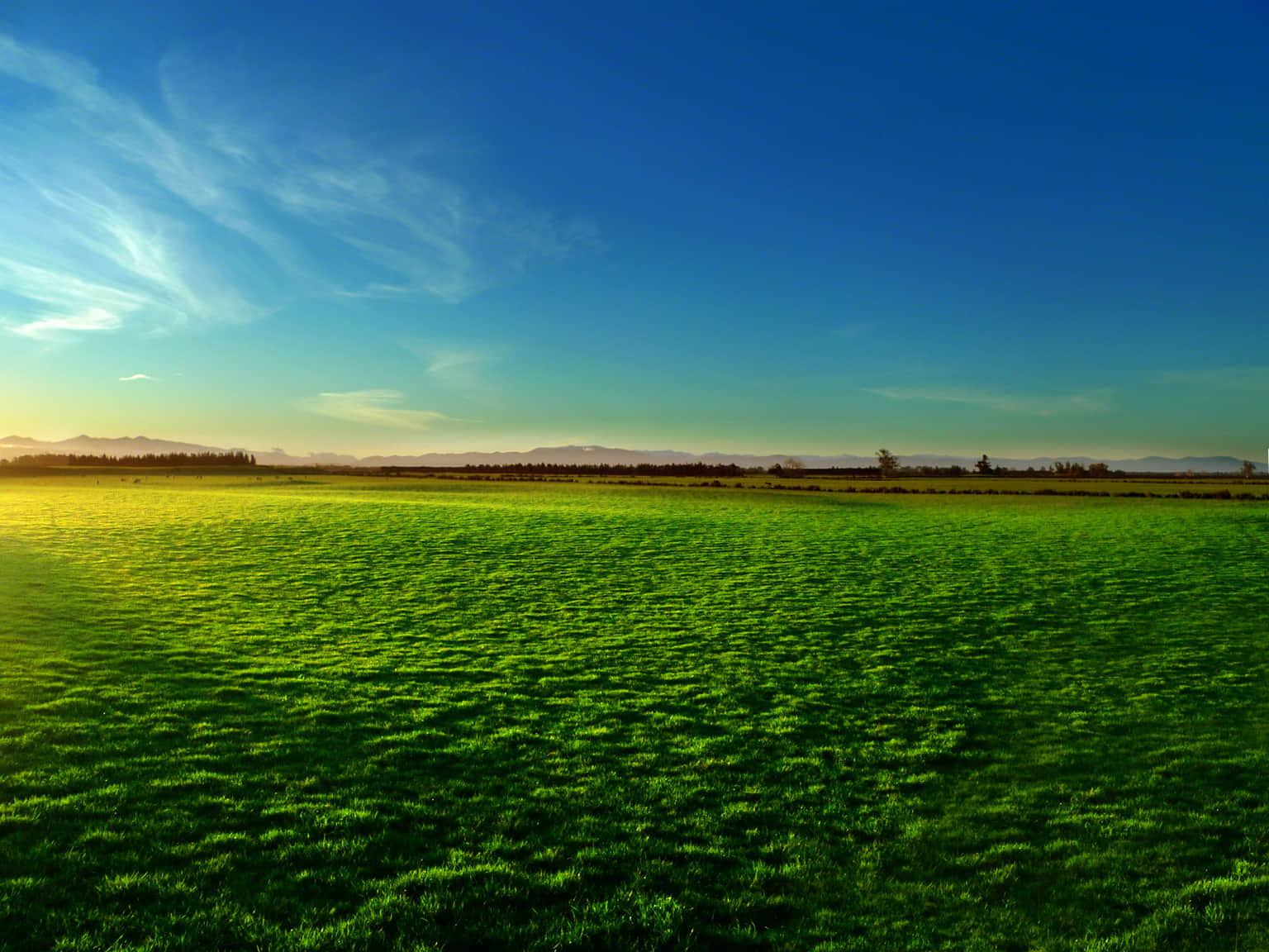 Canterbury Plains, <em>New Zealand</em>