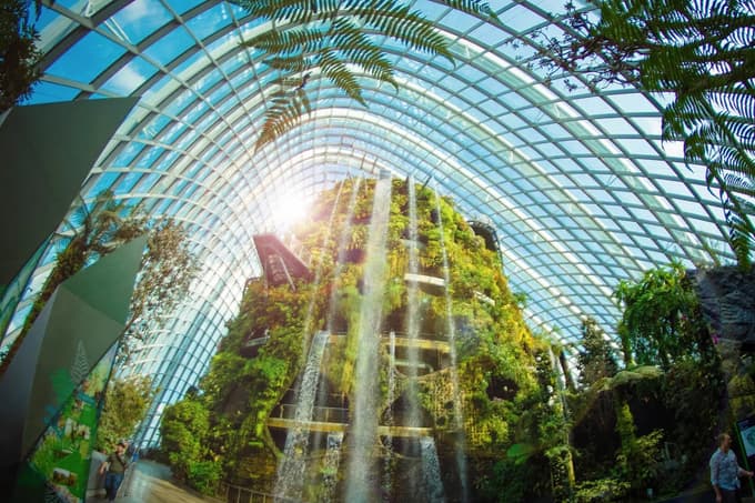See one of the largest indoor waterfalls at Cloud Forest