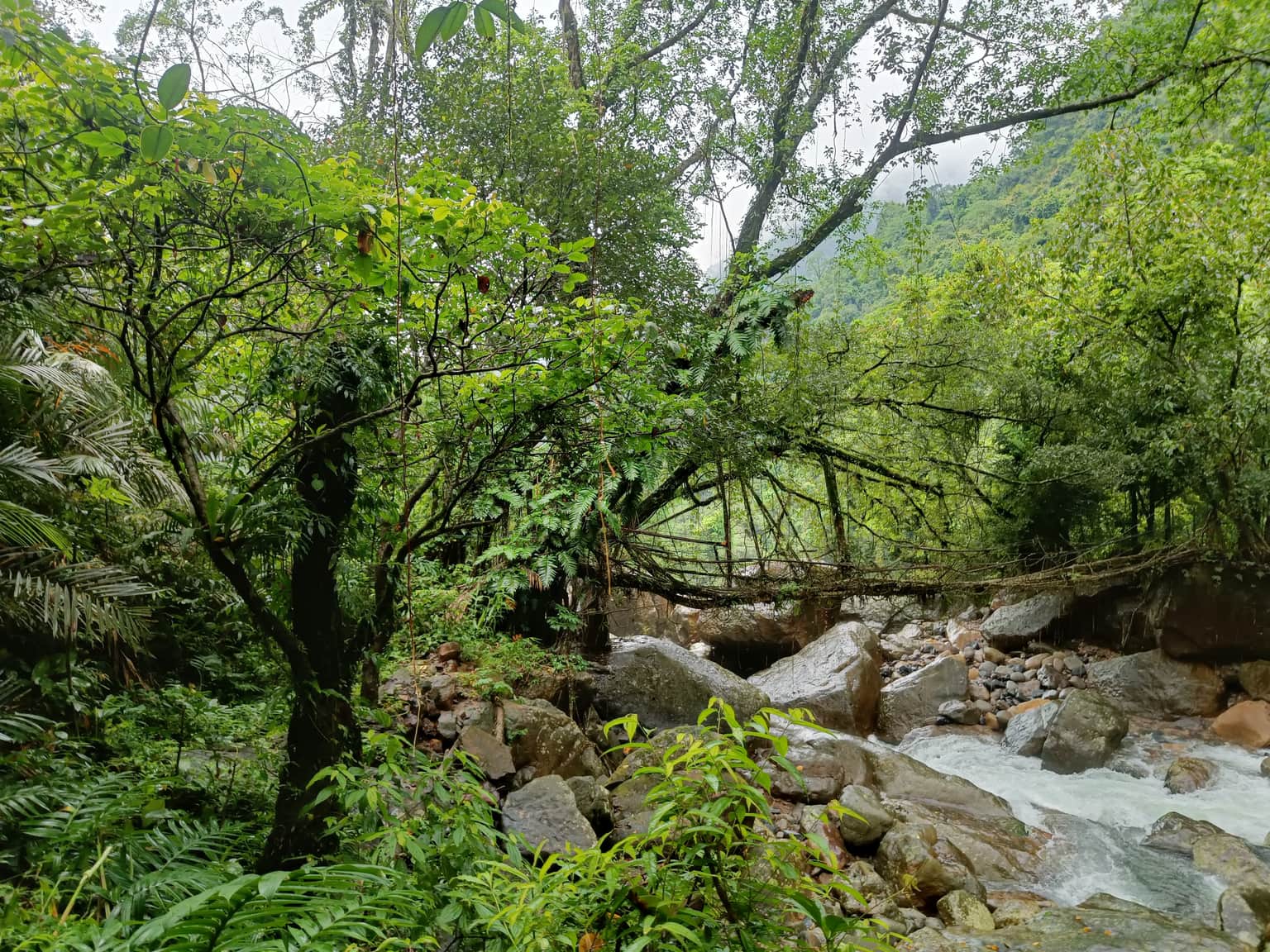 Photo from Tejeswi Johar's trip