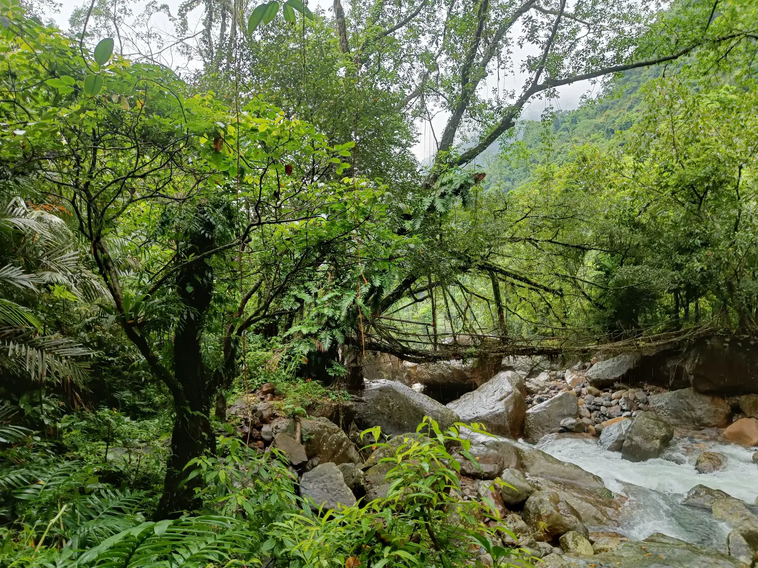 Photo from Tejeswi Johar's trip